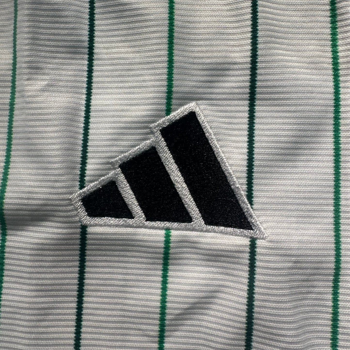 Celtic baseball 2026