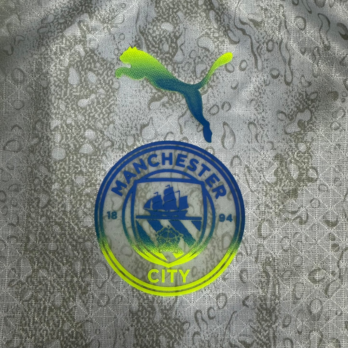 Manchester city 3rd 2026